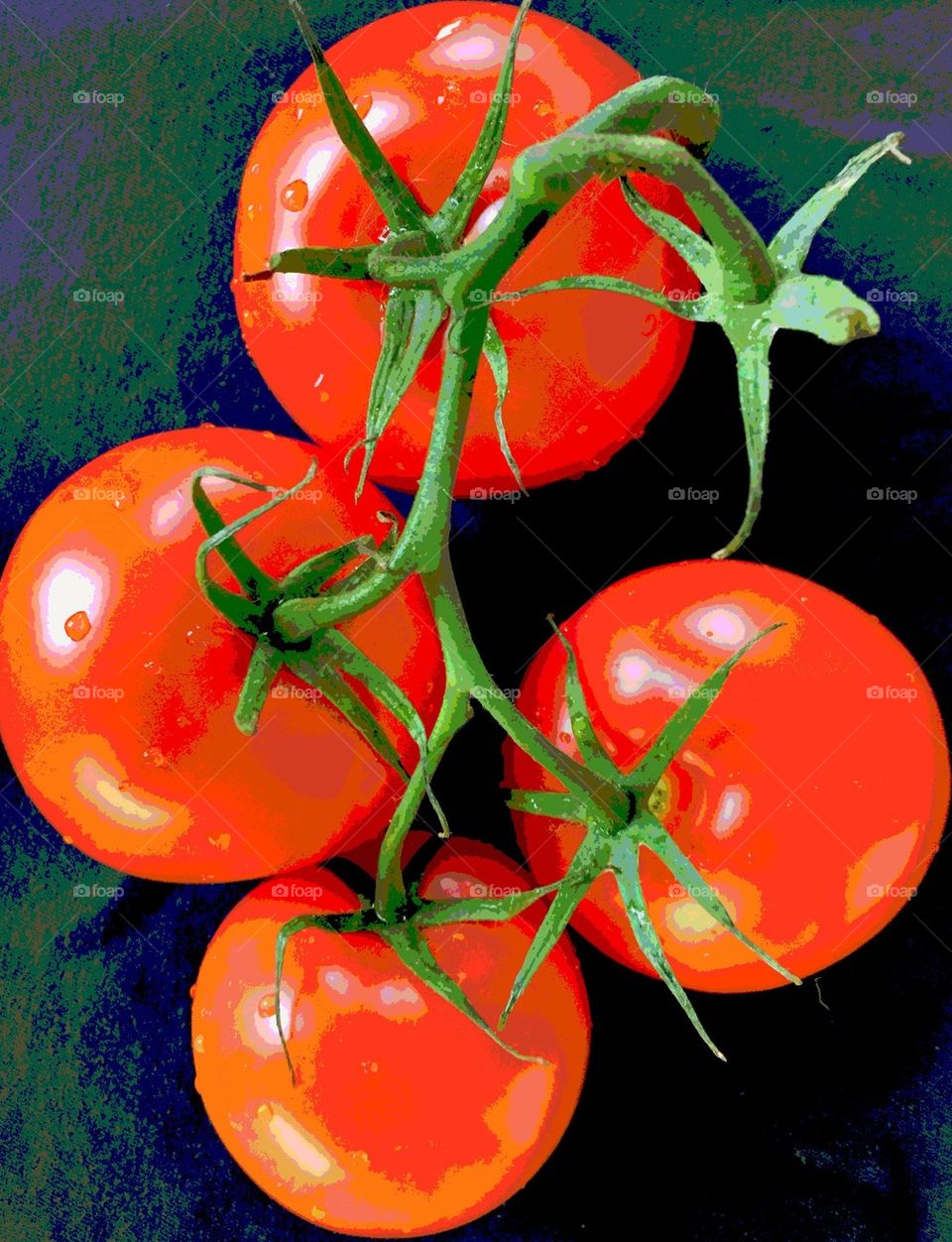 Some Tomatoes 