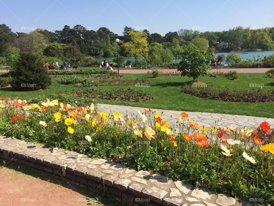 Parc de la Tête d'Or à Lyon