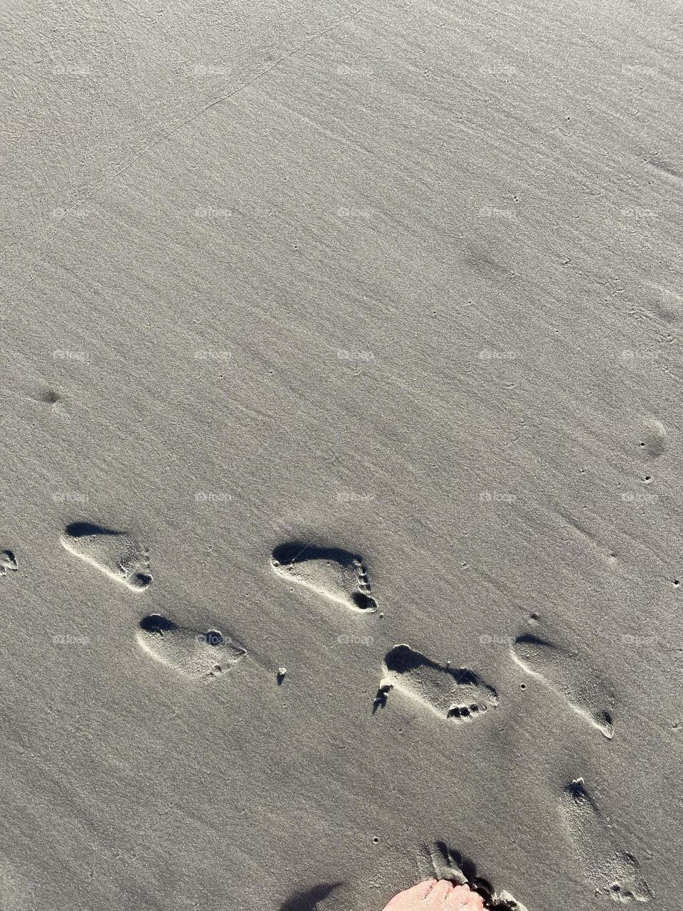 Tiny little Footprints in the rich brown Sand on the beach