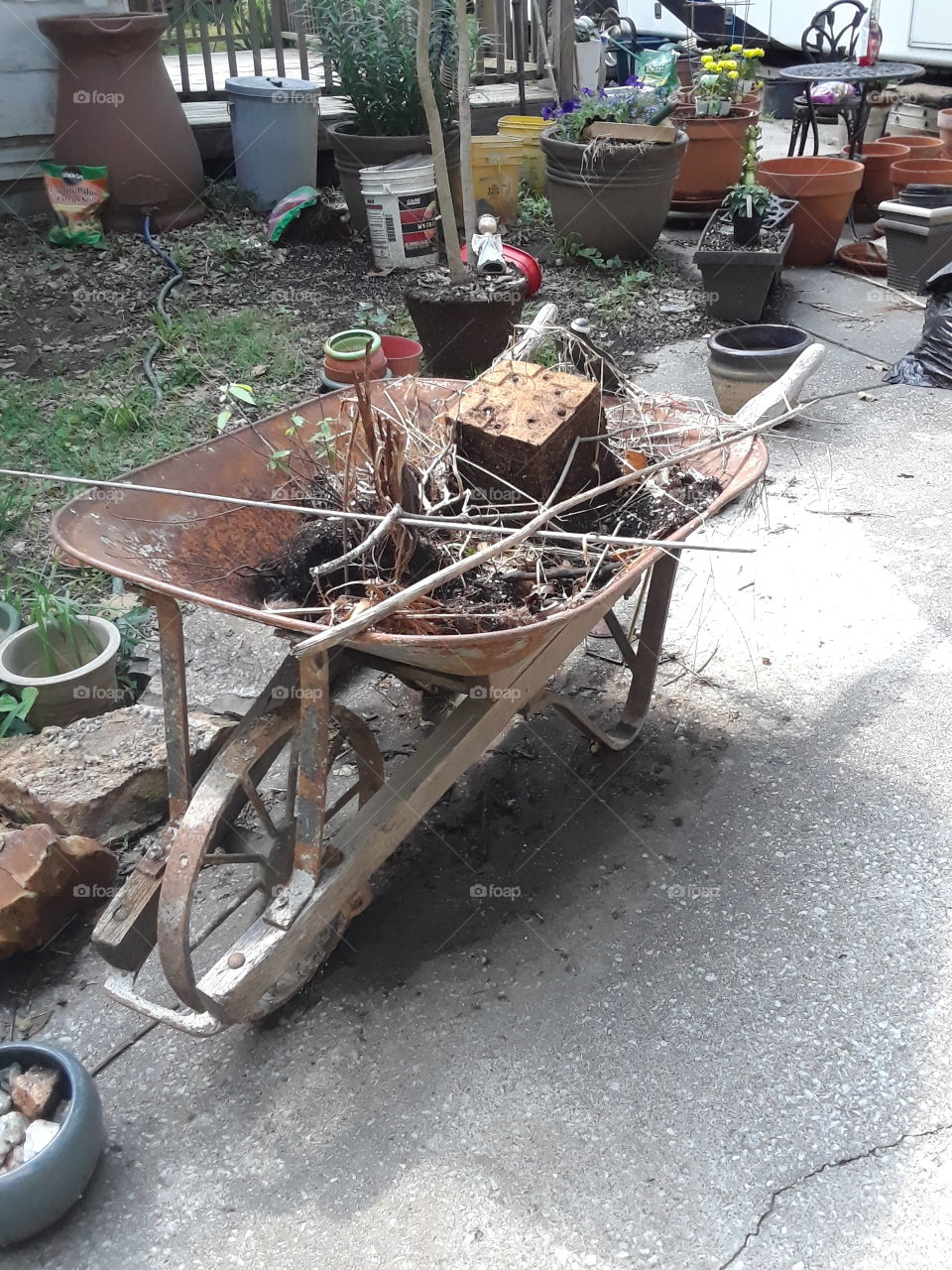 old wheelbarrow in a garden
