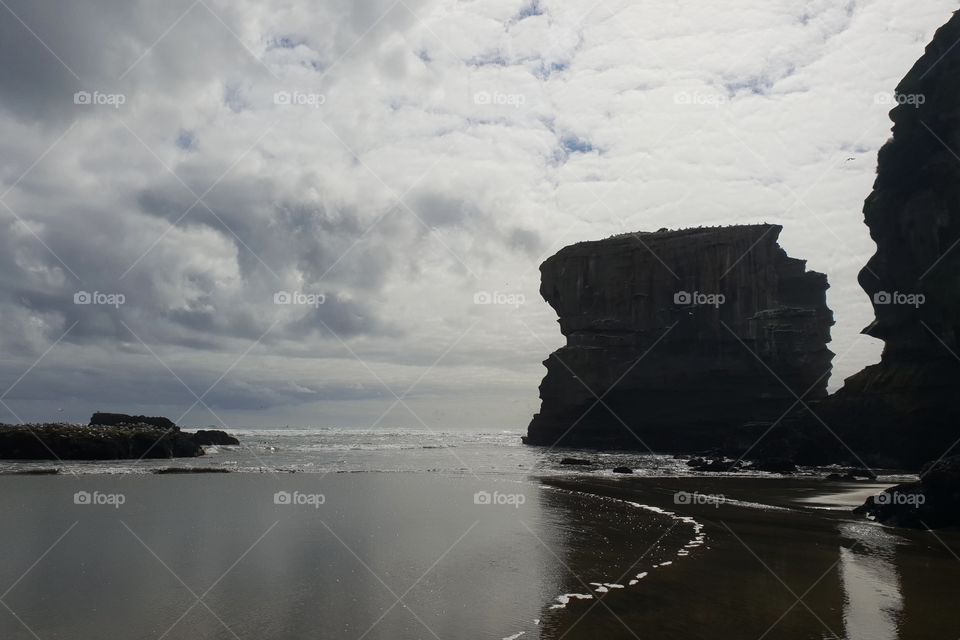 muriwai beach, new zealand