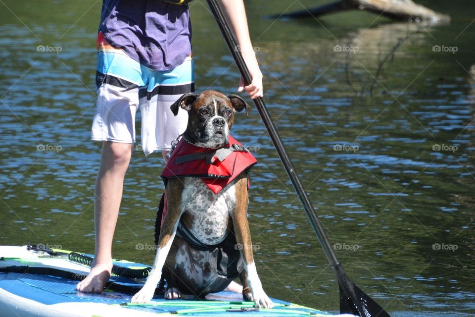 Paddle boarding