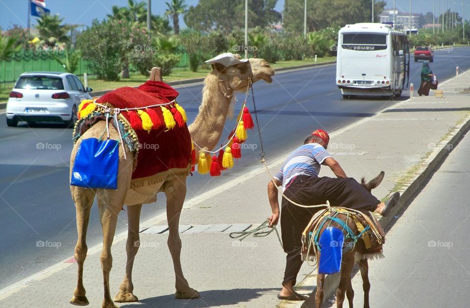 Road, Transportation System, People, Vehicle, Competition