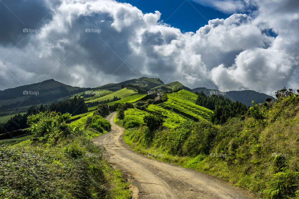 Hiking on the trail of Mata do Canario around the vulcanic lakes of Sete Cidades in Sao Miguel Island, Azores, Portugal.