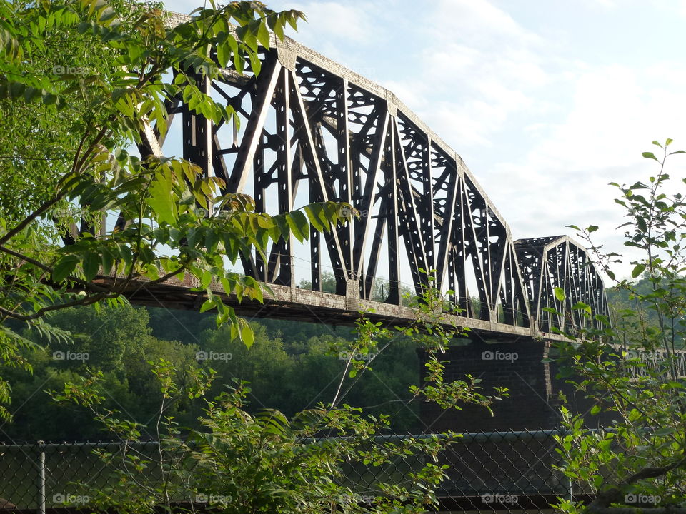Bridge, Water, Nature, No Person, Wood