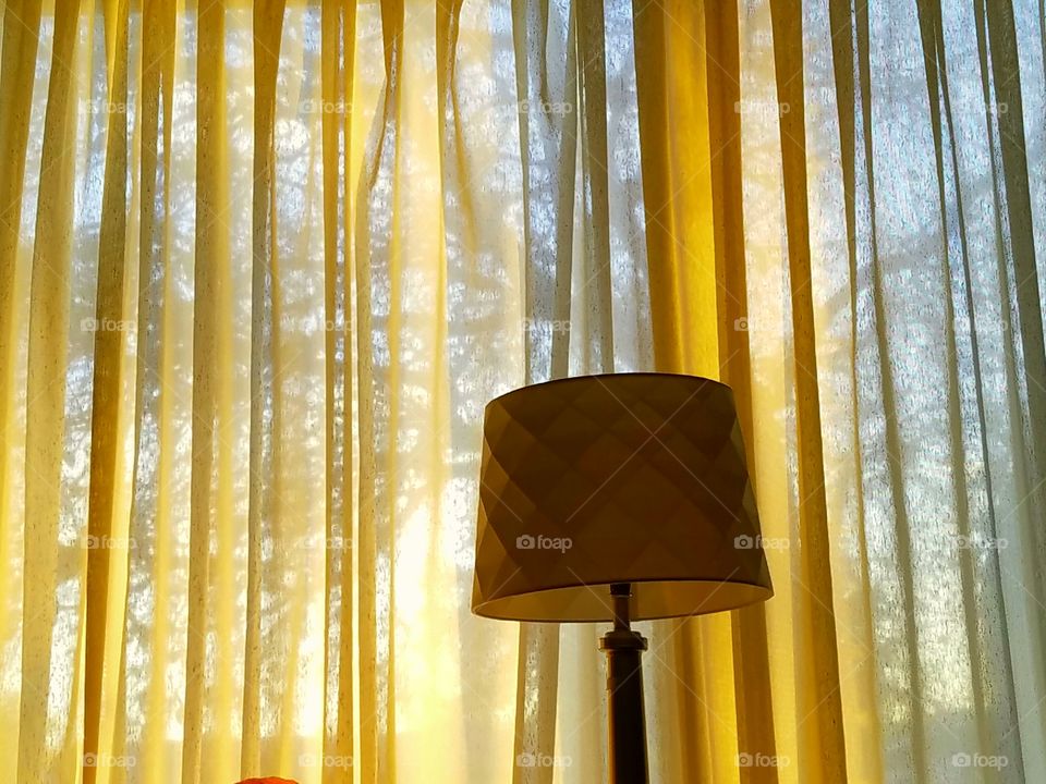 Sunny curtains