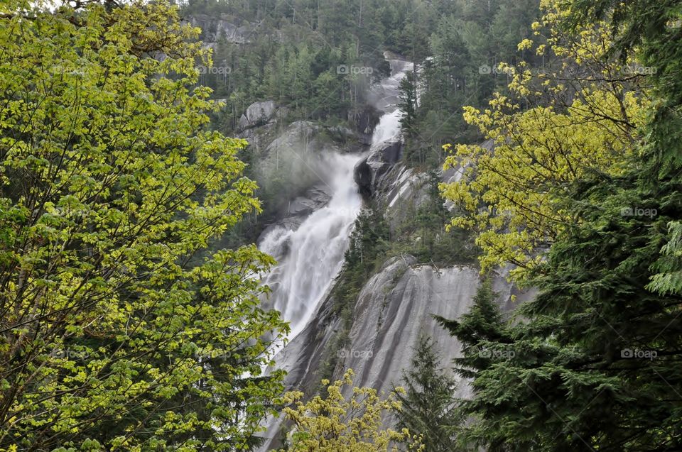 Waterfall views through the forest