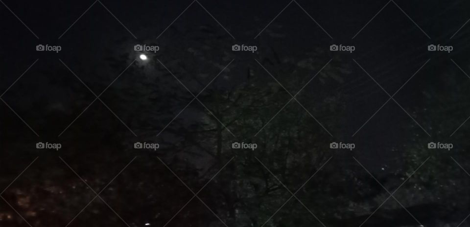 Cool night with beautiful moon light. beautiful night photo captured in front of my home place. moon goes back to trees, awesome nature night ๐ picture ๐ผ๏ธ