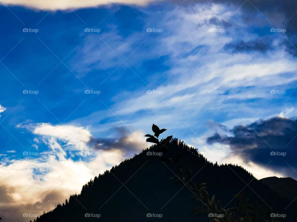 majestic mountain views