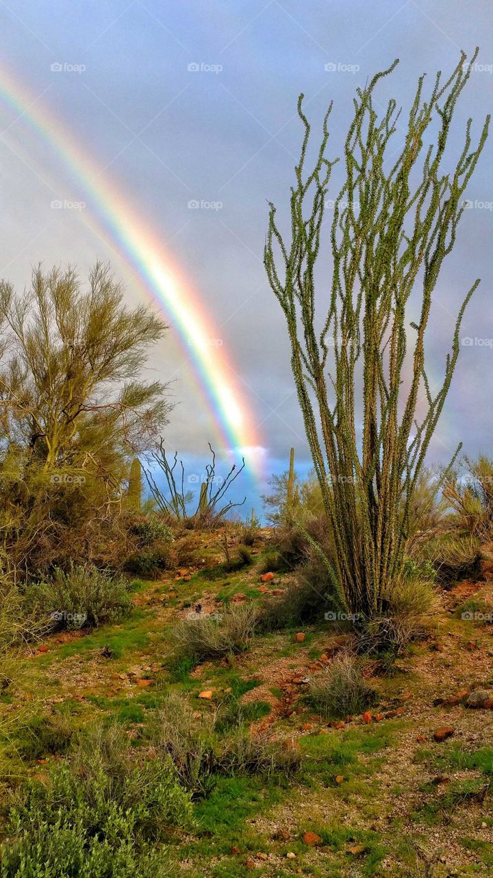 Vibrant colors of a beautiful rainbow collide with the Arizona desert.