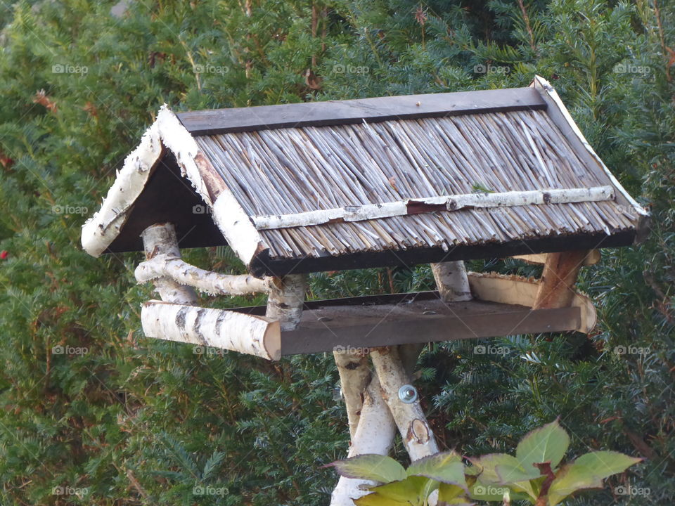 Feeding house for birds