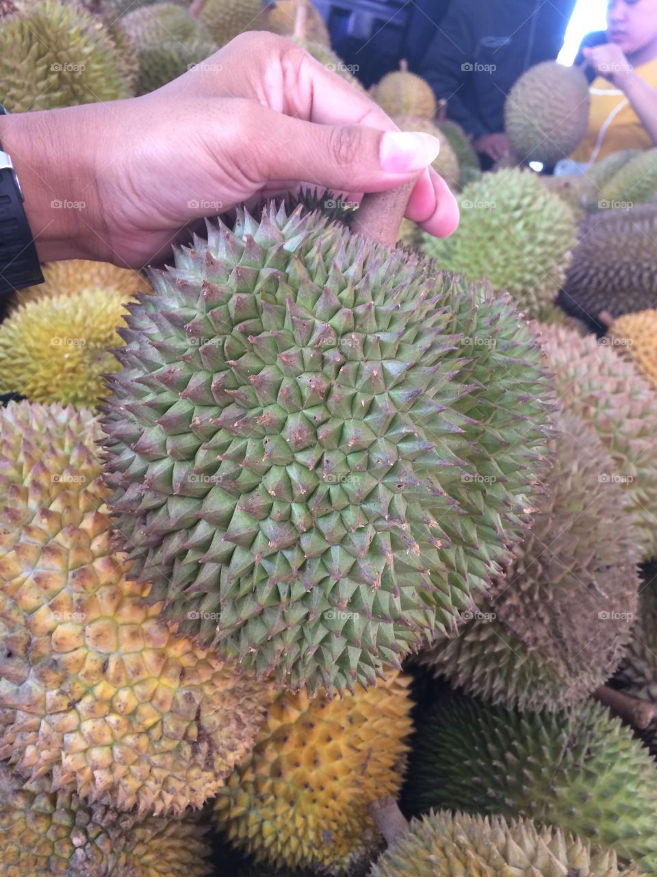 Durian ...