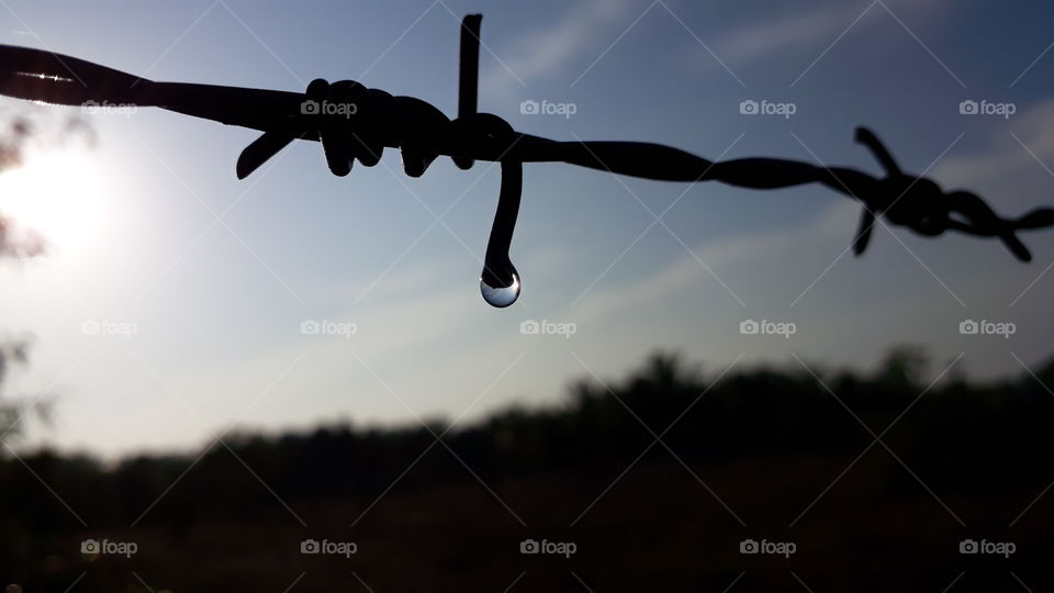 An iceberg in the barbed wire