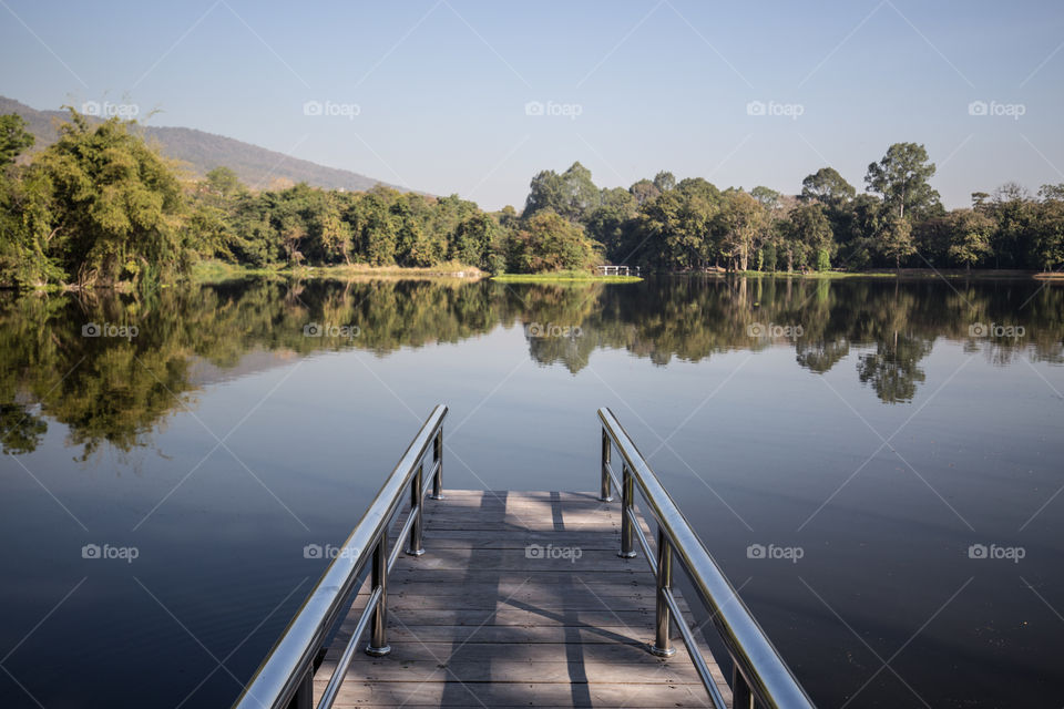 Bridge in the pond