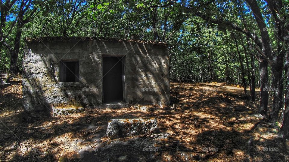 Bosque Europeo, sequía
