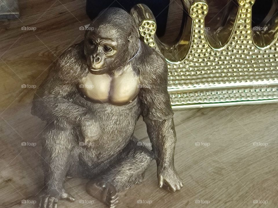 The gorilla king