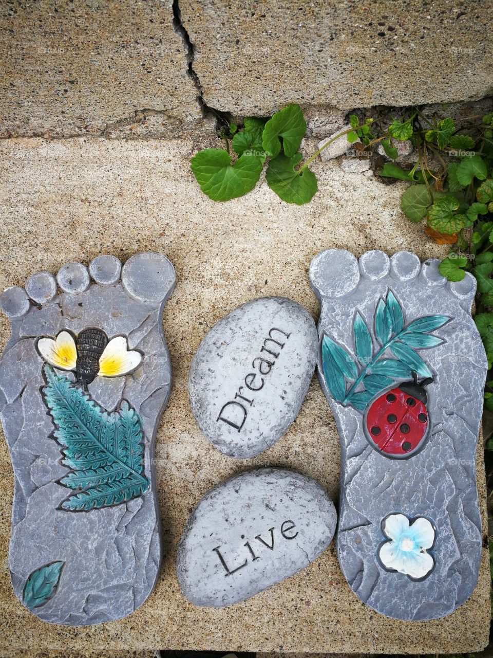 if you have a dream, it means you live. To make your dream come true, you have to take a step.