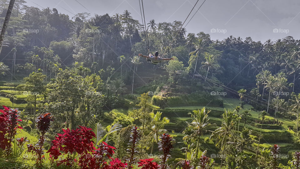 Columpio en los arrozales tegalalan de Indonesia, rodeado totalmente de vegetación