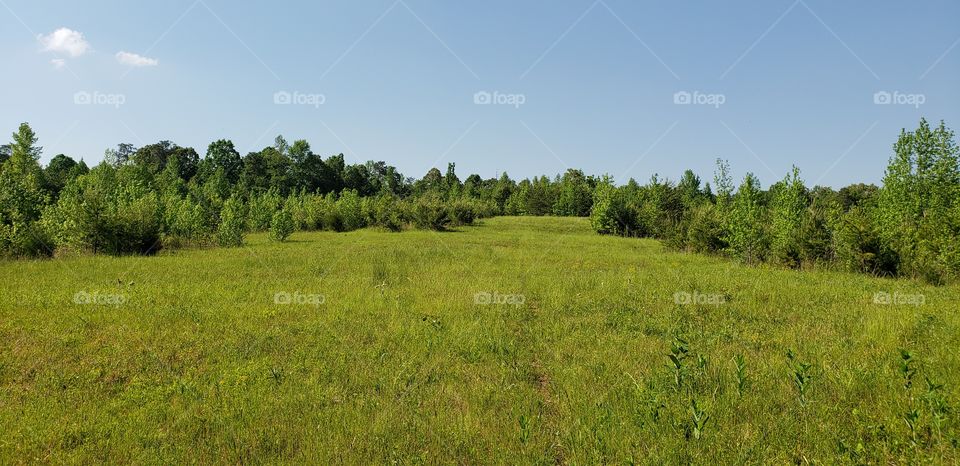field in the middle of nowhere