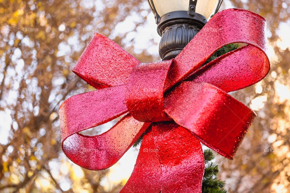 Red glittery ribbon on a light pole. I always love these for some reason. You can still see the remaining foliage in bokeh in the background.