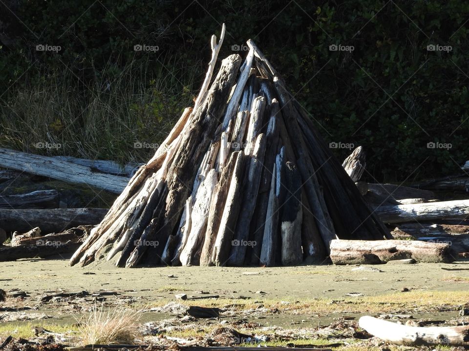 Driftwood