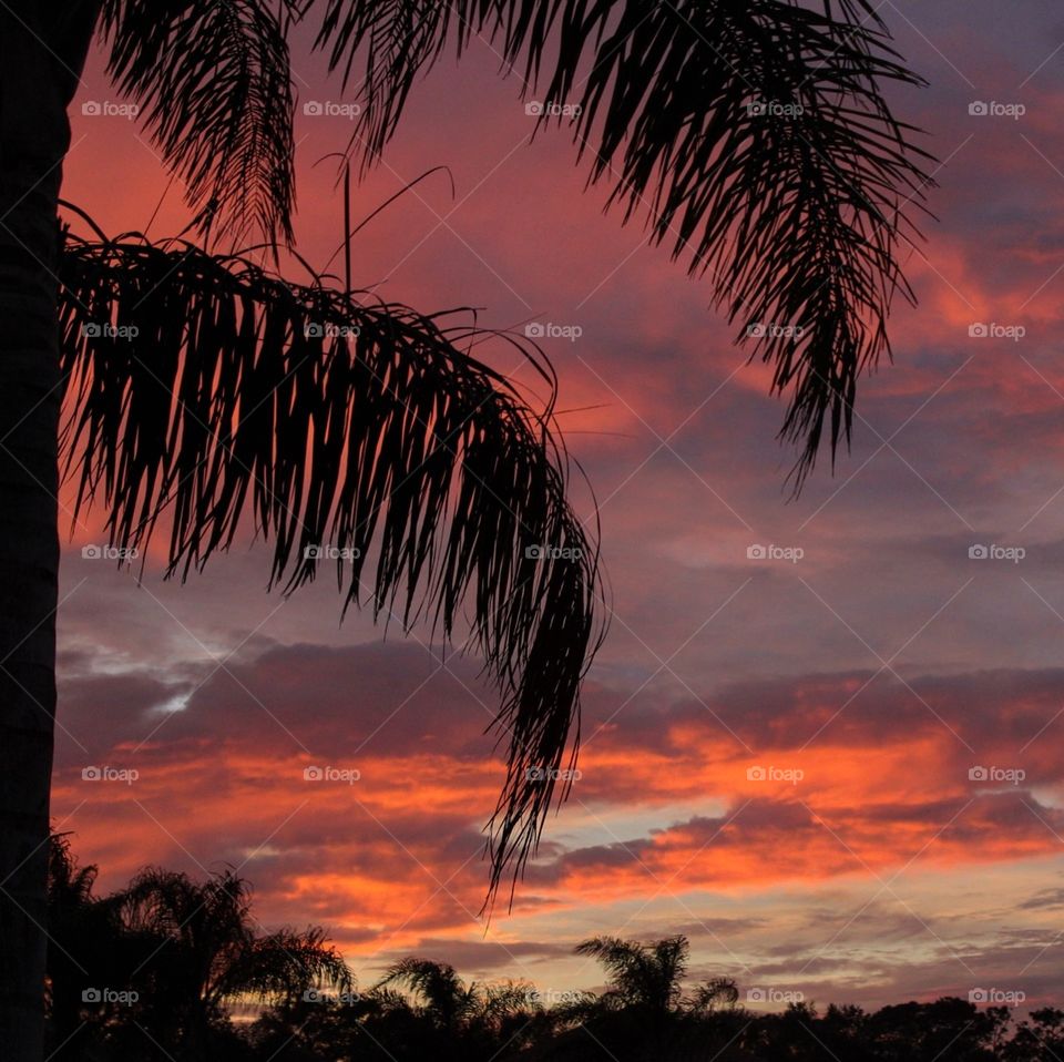 Florida Sunset  