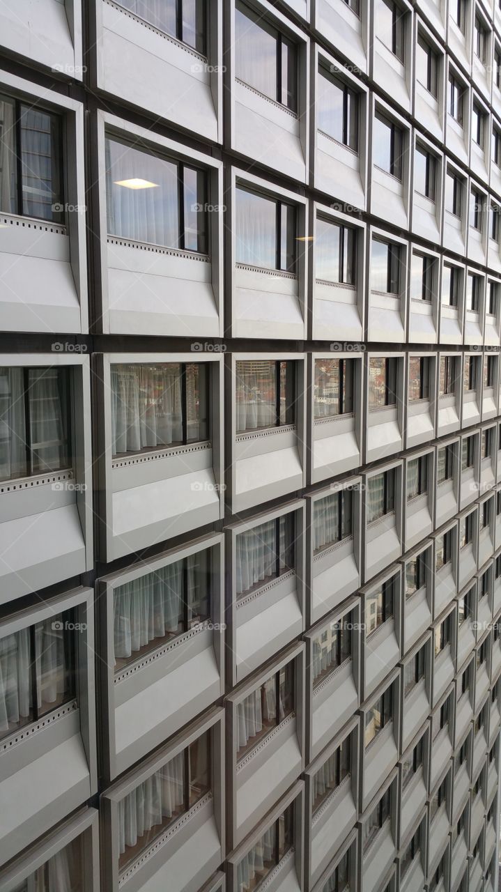 A grid of windows of an office building