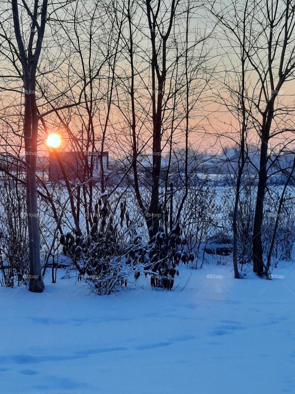 New day with sunrise  over snow covered  garden