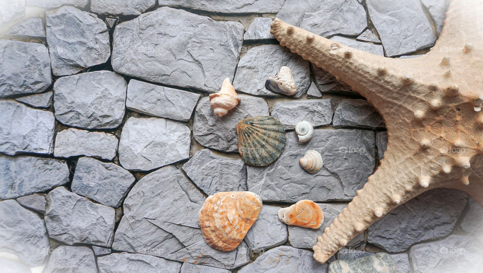 starfish and seashells on a background of stones