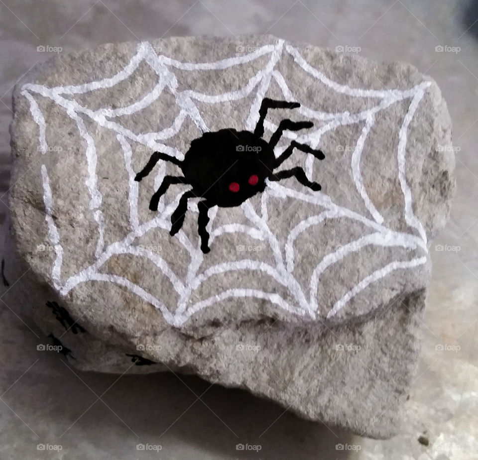 He is just a friendly little spider painted on this rock