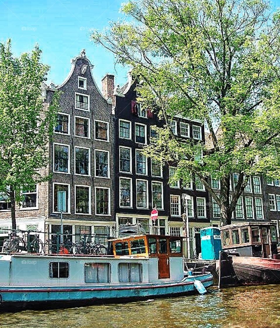 Life around the Channels of Amsterdam