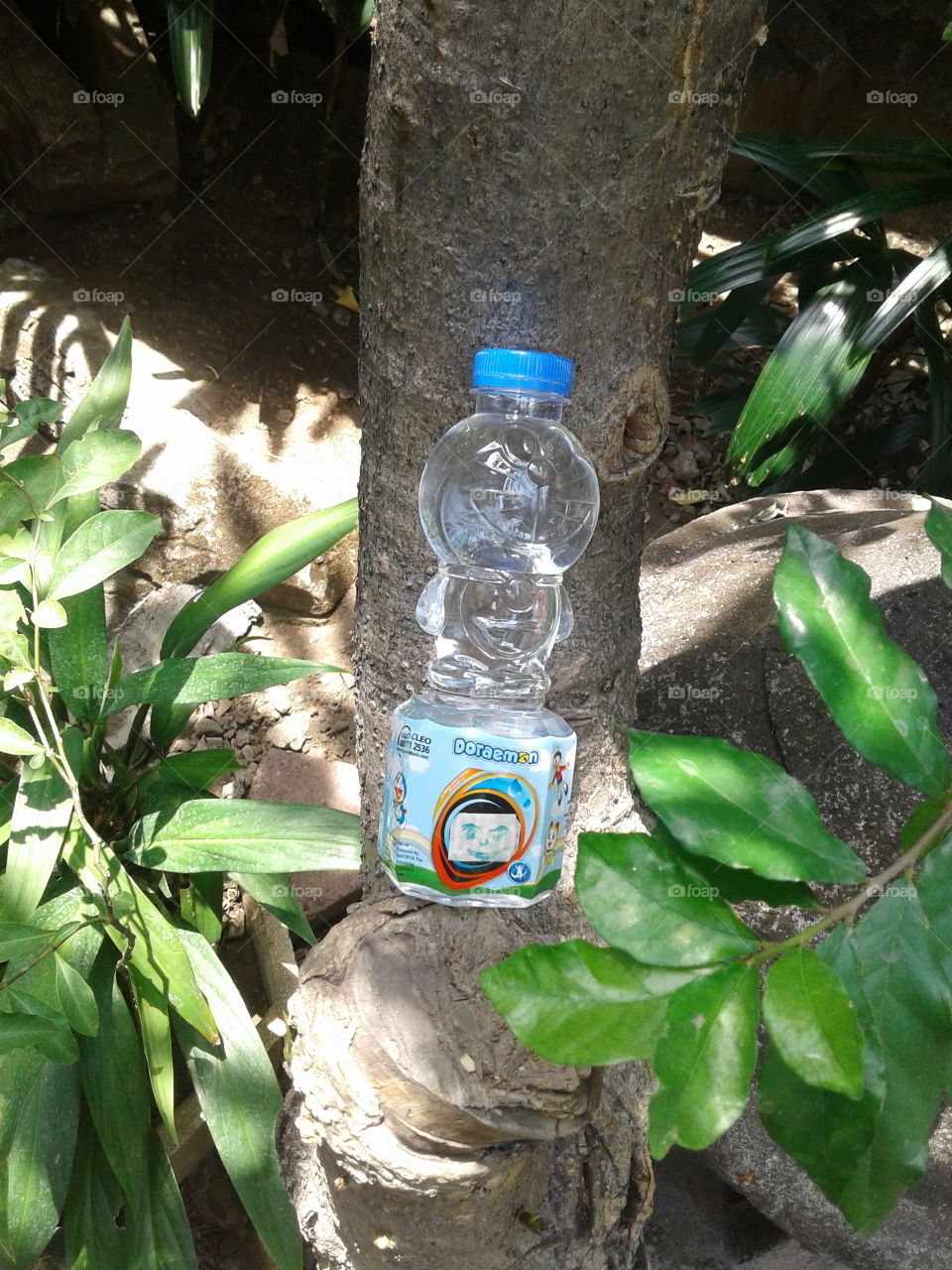 Doraemon bottle at tree...