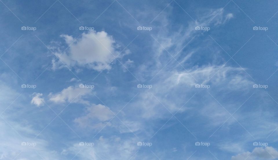 An exploding hair bird in the blue sky.