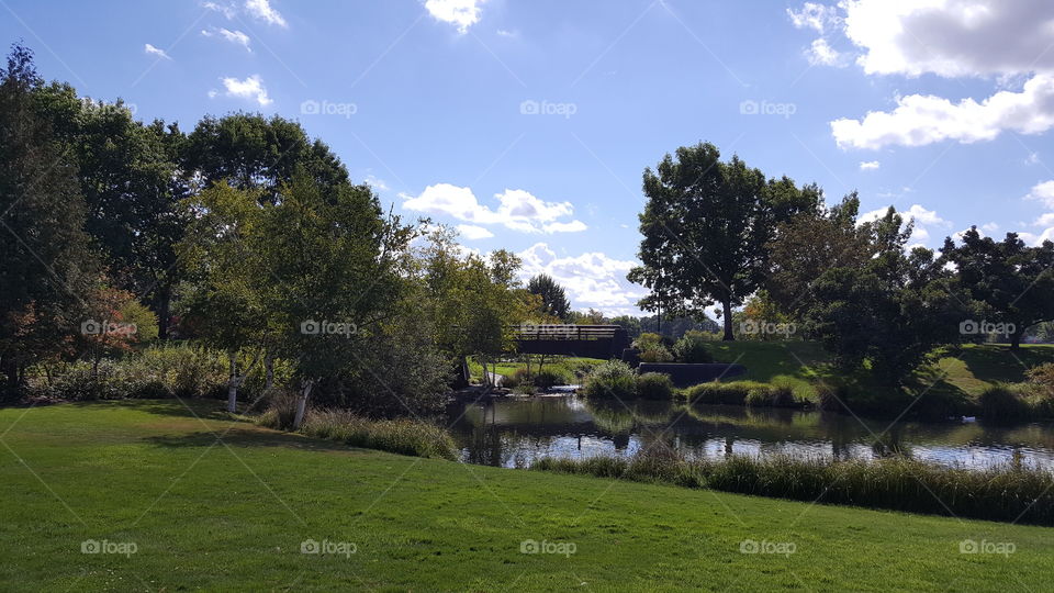 Bridge in the Landscape