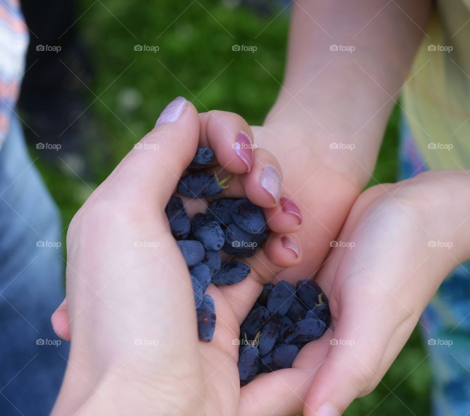 Outdoors, Child, People, Nature, Hand