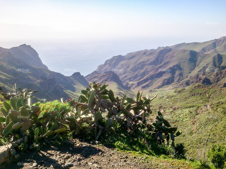 Masca Valley