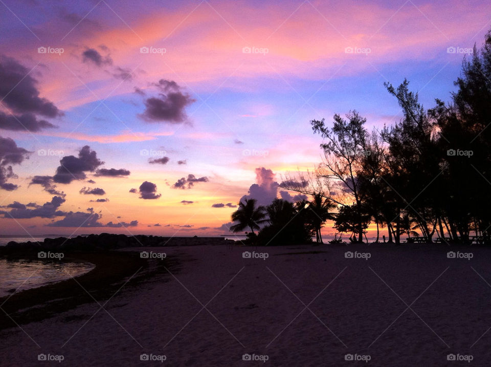 beach sunset palm clouds by nasa314