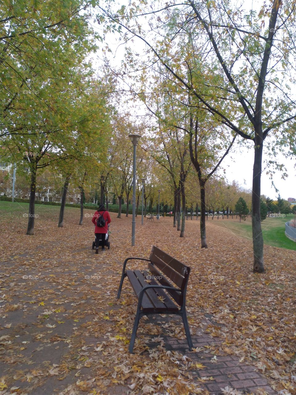 A woman from behind walks with her baby in a car trough the park in autumn
