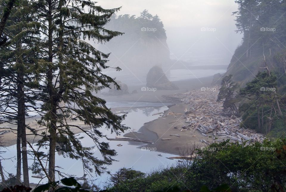 Morning mist at beach