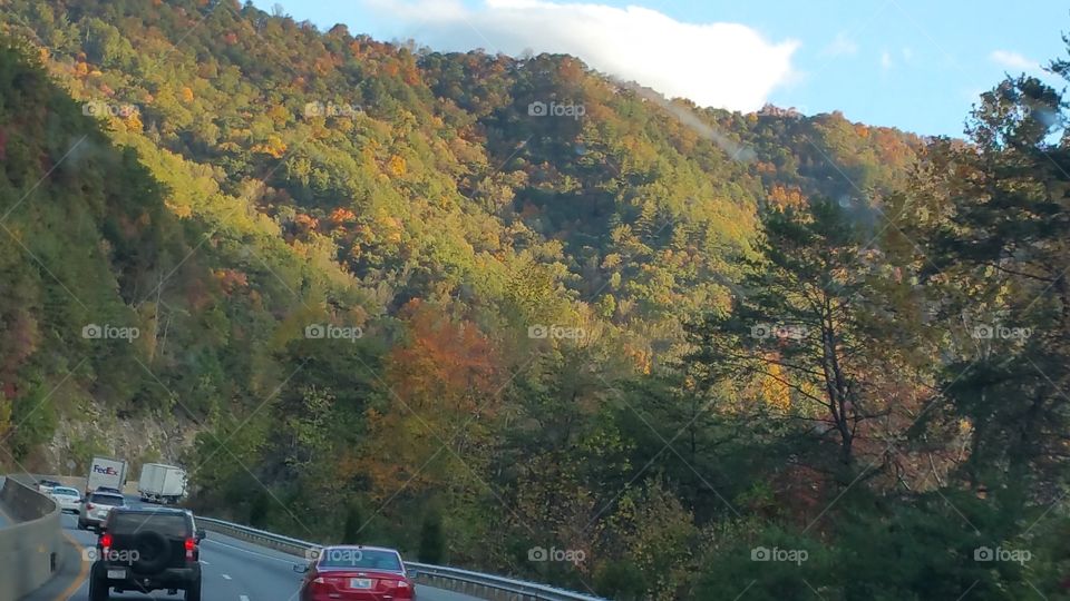 Autumn in the Mountains