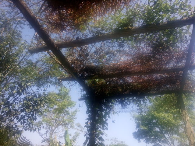 beutyful nature