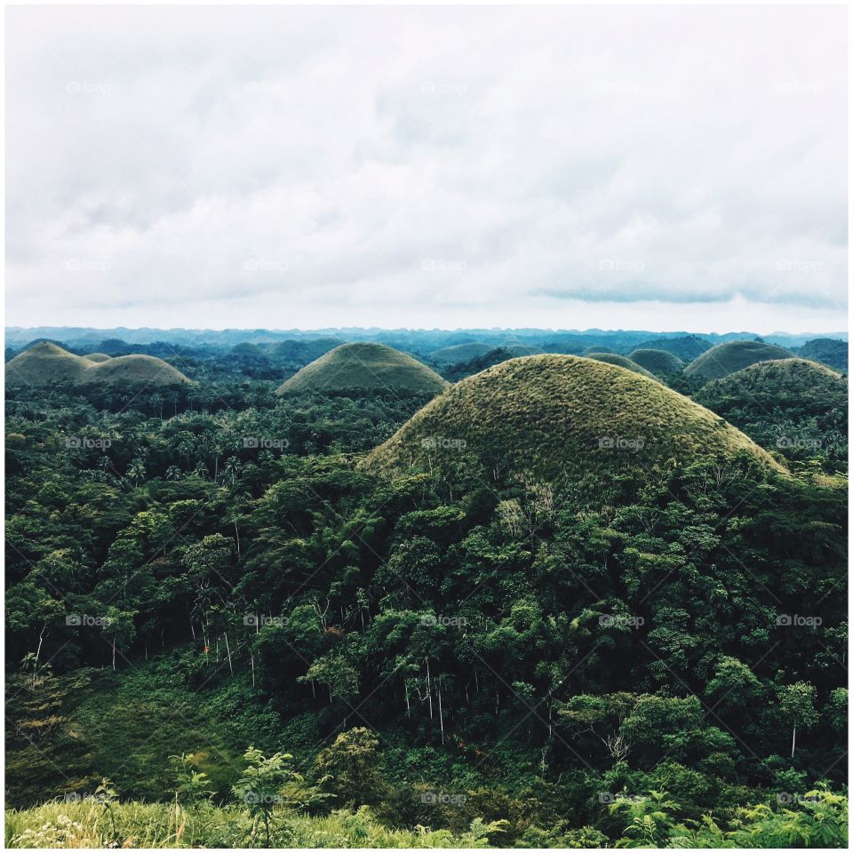 Landscape, No Person, Hill, Tree, Travel