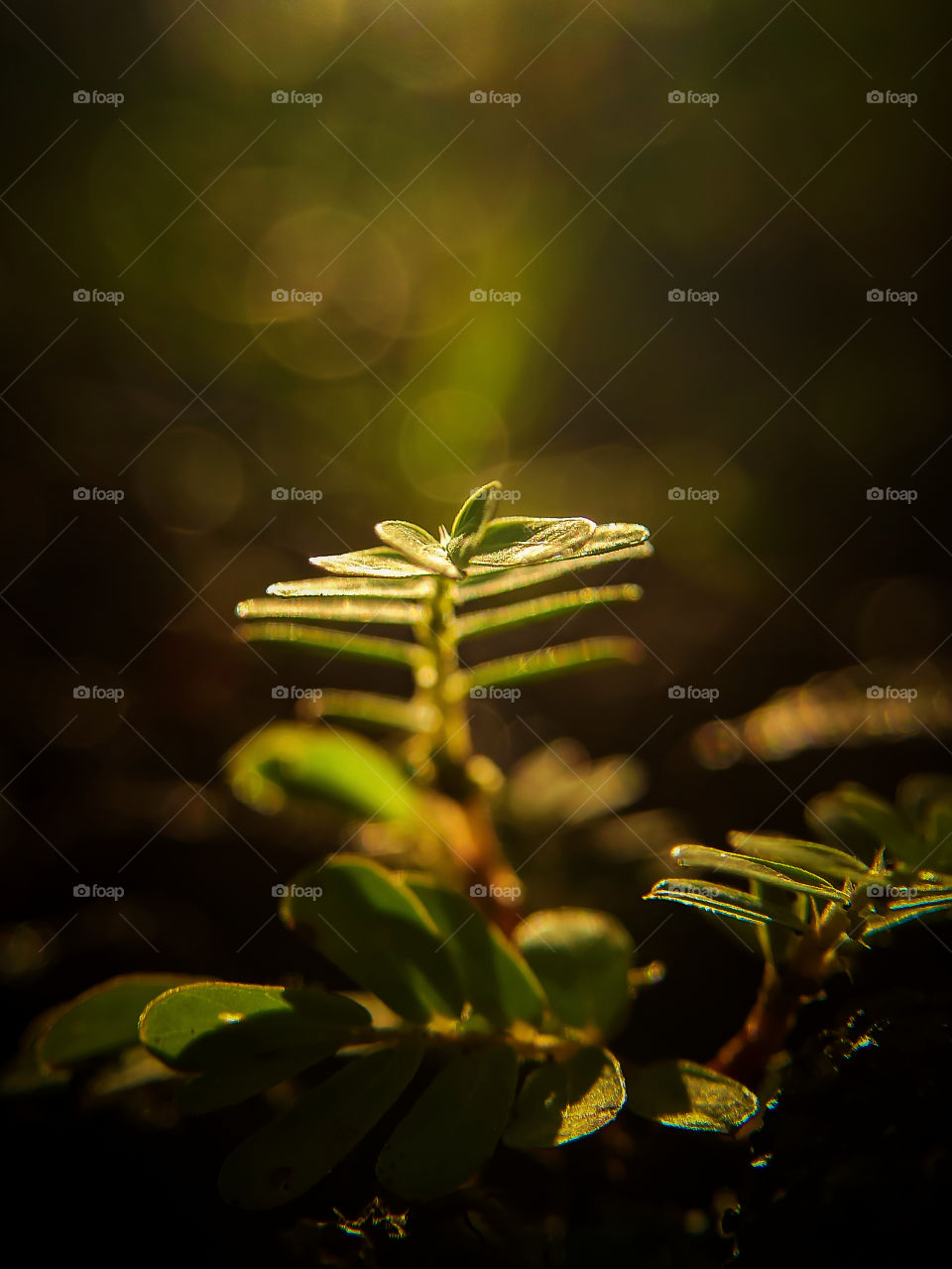 Saving the earth, Starts with you!!!!