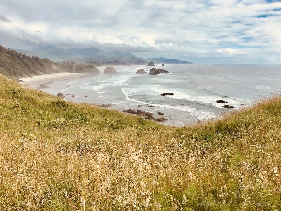 Overlooking wavy Pacific Northwest beach with haystacks through grassy field on a beautiful cloudy day. 