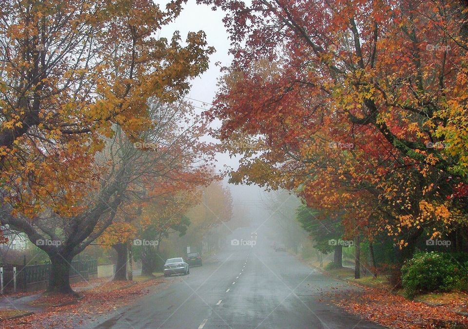 Colorful road