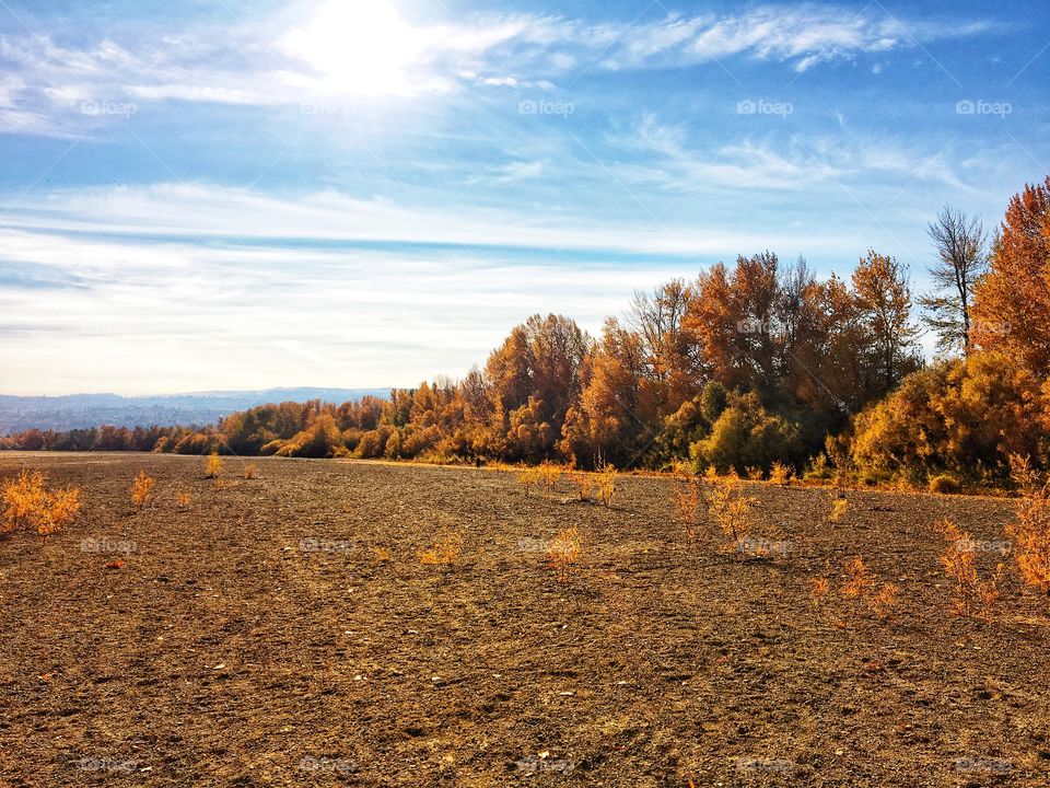 Autumn walk by the river 