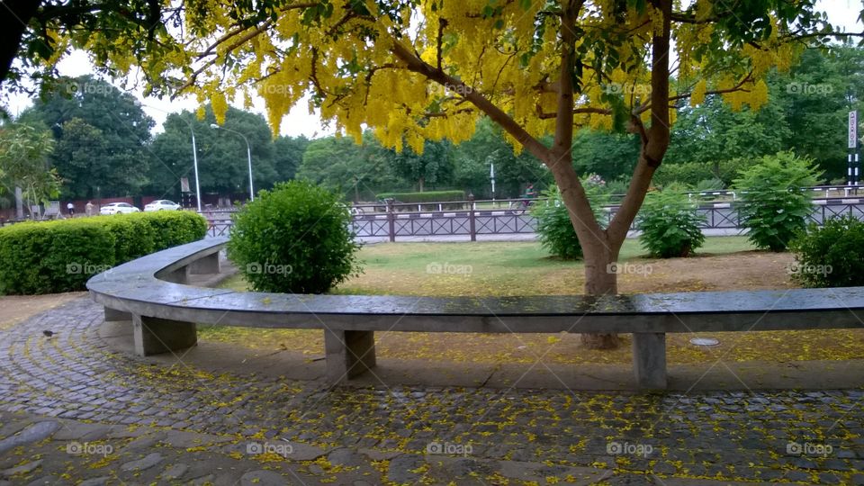 park