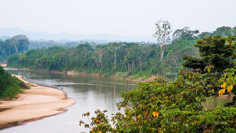 tree and water 💞💞💞💞