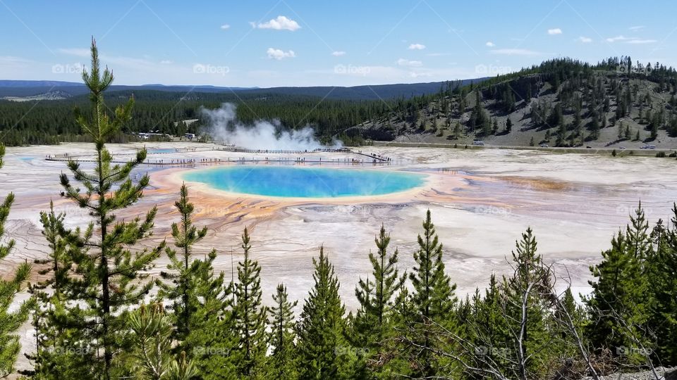 the hike to the top was worth the blood and sweat for the gorgeous view of the grand prismatic spring.