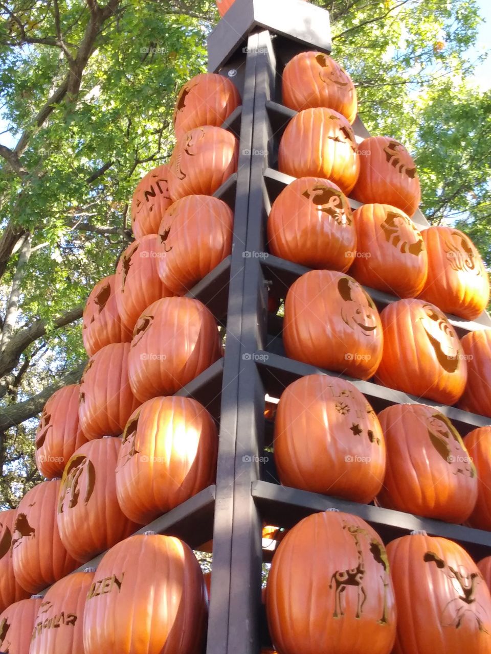 Pumpkins up high